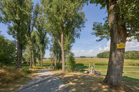 Gemeinde Atting Landkreis Straubing-Bogen Irrgarten Straubing (Dirschl Johann) Deutschland SR
